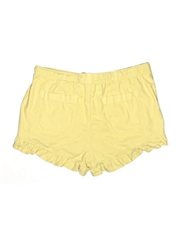 American Eagle Outfitters Shorts (view 2)