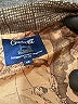Gioberti Brown Vest Size 12 - photo 3