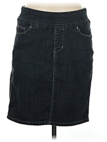 Jag Jeans Denim Skirt (view 1)