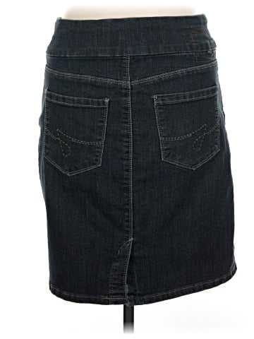 Jag Jeans Denim Skirt (view 2)