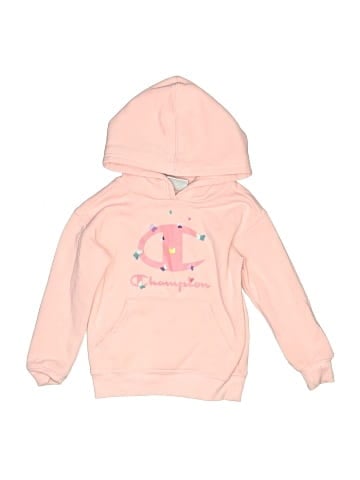 Champion Sweatshirt (view 1)