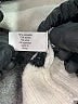 Lane Bryant Ivory Pullover Sweater Size 26 - 28 Plus - photo 8