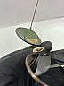 Ray-Ban Silver RB3447 Sunglasses One size - photo 7
