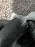 Old Navy 100% Cotton Black 3/4 Sleeve Button-Down Shirt Size L - photo 9