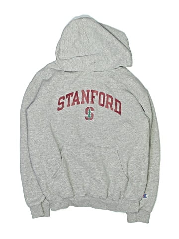 Champion Pullover Hoodie (view 1)
