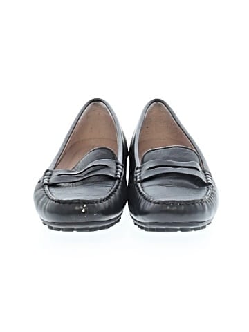 Ecco Flats (view 2)