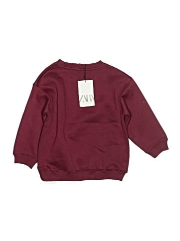 Zara Sweatshirt (view 2)