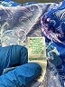 Lilly Pulitzer Blue Short Sleeve Blouse Size L - photo 9