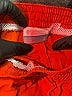 Columbia 100% Nylon Solid Red Athletic Shorts Size 8 - photo 3