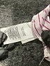 Parker 100% Cotton Stripes Pink Long Sleeve Button-Down Shirt Size M - photo 8