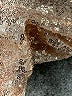 Unbranded Metallic Gold Sweatpants Size XL (kids) - photo 4