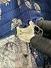 C. Wonder 100% Rayon Floral Blue Shorts Size L - photo 3