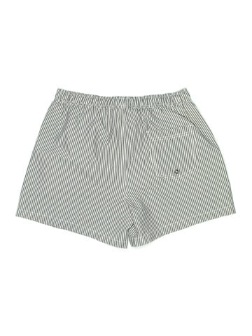 Zara Shorts (view 2)