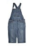 Gap 100% Cotton Blue Overalls Size XL (youth) - photo 1