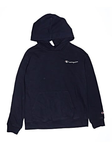 Champion Pullover Hoodie (view 1)
