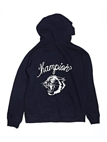 Champion Pullover Hoodie (view 2)