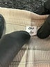 GU Tan Short Sleeve Turtleneck Size S - photo 7
