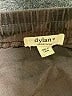 Dylan Camo Brown Casual Skirt Size XL - photo 4