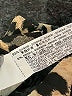 Zara Basic Animal Print Gold Casual Pants Size S - photo 8