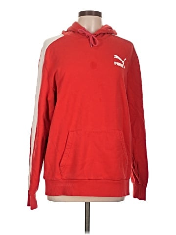 Puma Pullover Hoodie (view 1)