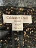 Coldwater Creek Stars Gold Jacket Size M (petite) - photo 6