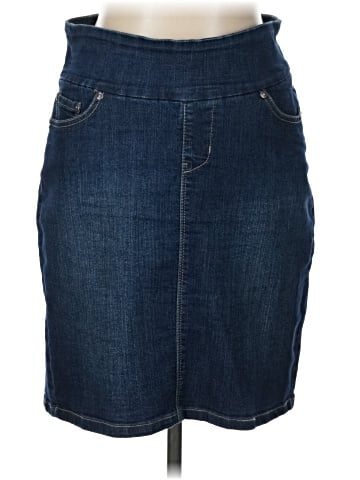 Jag Denim Skirt (view 1)