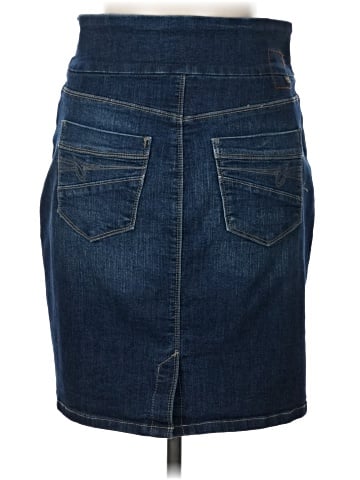 Jag Denim Skirt (view 2)