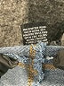 d.jeans Solid Blue Jeans Size 8 - photo 8