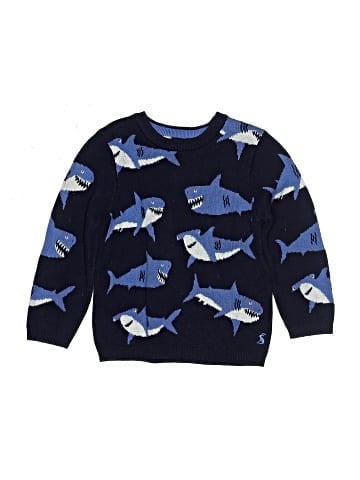 Joules Pullover Sweater (view 1)