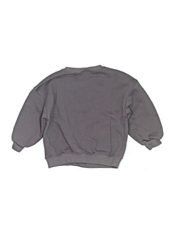 Zara Sweatshirt (view 2)