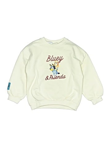Zara Sweatshirt (view 1)