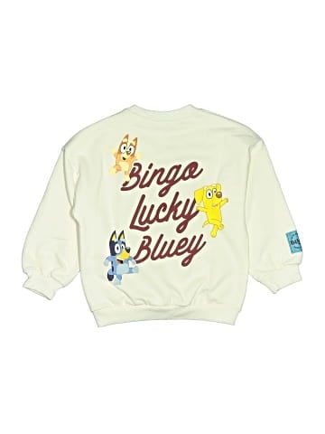 Zara Sweatshirt (view 2)