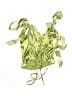 Unbranded Green Sleeveless Top Size S (kids) - photo 2