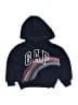 Gap Kids Blue Pullover Hoodie Size 4 - 5 - photo 1