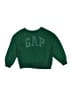 Gap Kids Green Pullover Sweater Size XS (kids) - photo 1