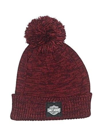 Harley Davidson Beanie (view 1)