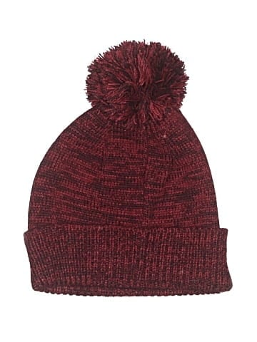 Harley Davidson Beanie (view 2)