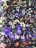 Lululemon Athletica Print Purple Active Pants Size 4 - photo 7