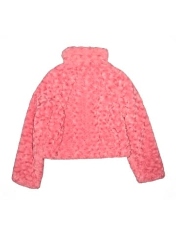 Disney Jacket (view 2)