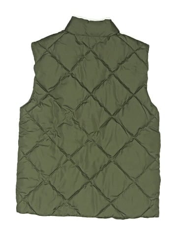 Mayoral Vest (view 2)