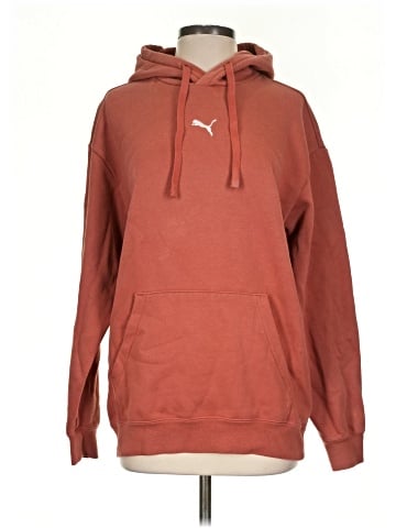 Puma Pullover Hoodie (view 1)
