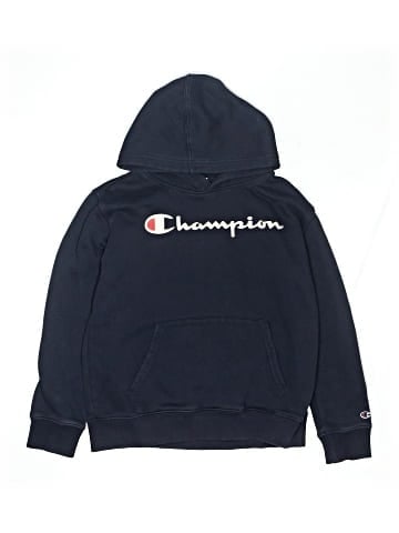 Champion Pullover Hoodie (view 1)