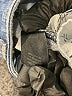 White House Black Market Blue Jeans Size 10 - photo 6