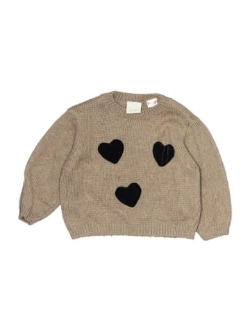 Zara Pullover Sweater (view 1)