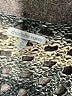 Charlotte Russe Silver Cardigan Size M - photo 7