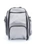 Assorted Brands Gray Backpack One size - photo 1