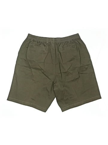 D&Co. Khaki Shorts (view 2)