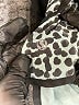 Lululemon Athletica Animal Print Green Athletic Shorts Size 8 - photo 3