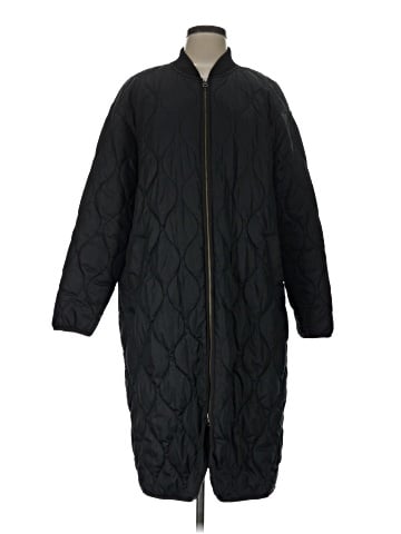 Everlane Coat (view 1)