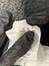 Assorted Brands Solid White Athletic Shorts Size S - photo 5